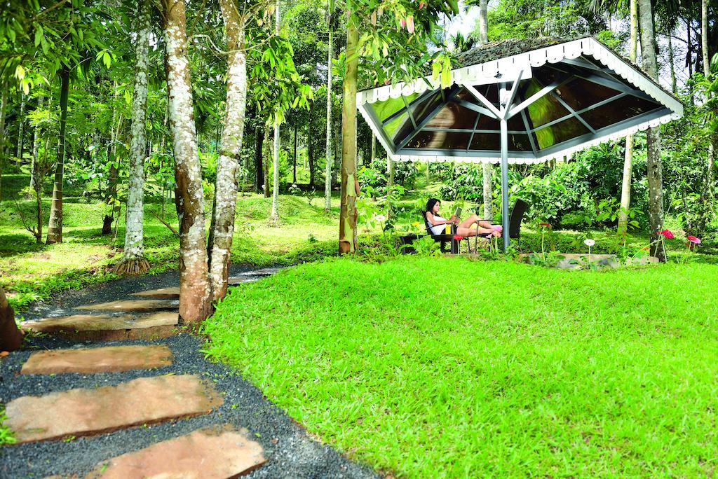The Woods Resorts Wayanad Sultan Bathery Eksteriør bilde