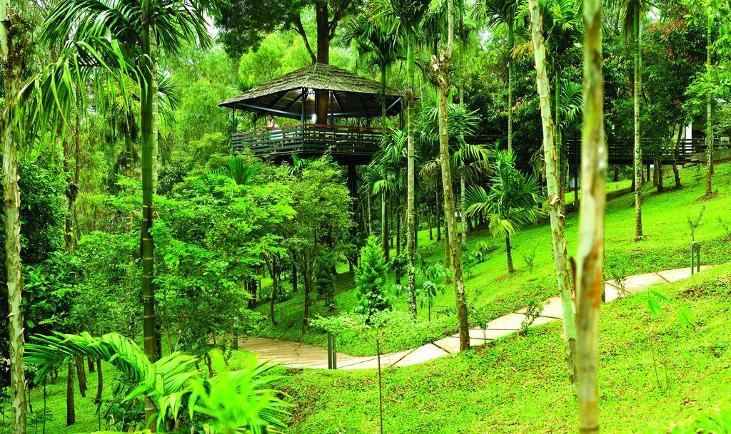 The Woods Resorts Wayanad Sultan Bathery Eksteriør bilde