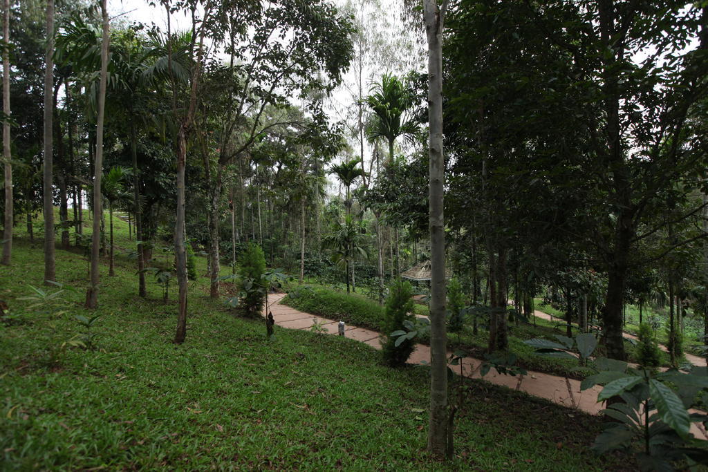 The Woods Resorts Wayanad Sultan Bathery Eksteriør bilde