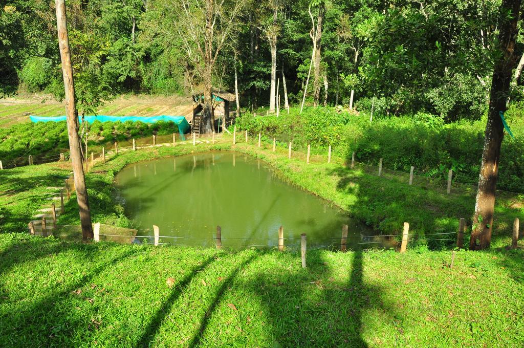 The Woods Resorts Wayanad Sultan Bathery Eksteriør bilde
