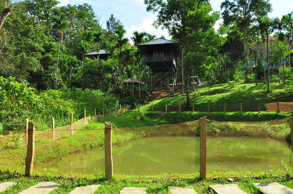 The Woods Resorts Wayanad Sultan Bathery Eksteriør bilde
