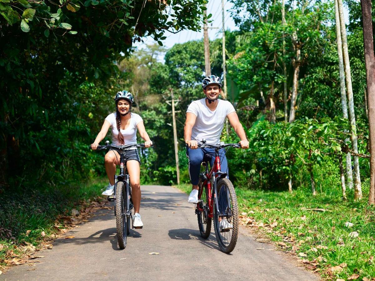 The Woods Resorts Wayanad Sultan Bathery Eksteriør bilde