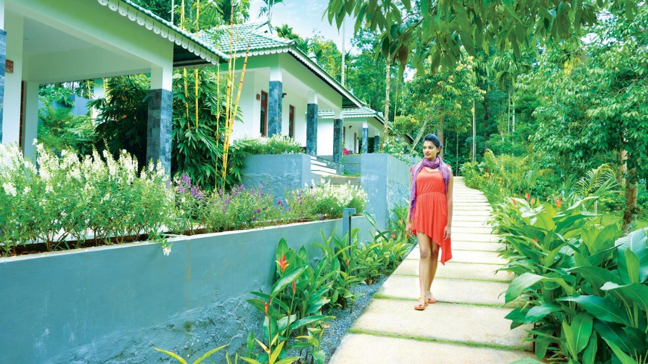 The Woods Resorts Wayanad Sultan Bathery Eksteriør bilde