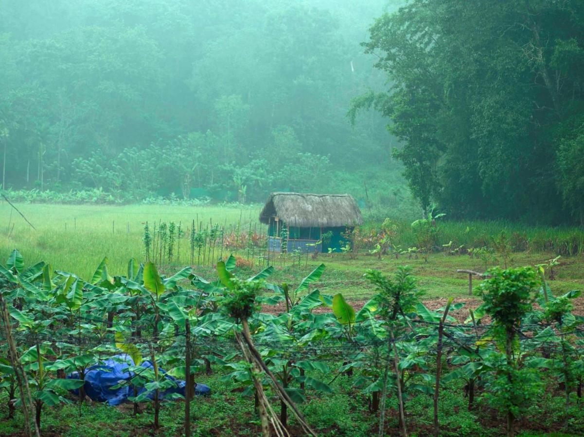 The Woods Resorts Wayanad Sultan Bathery Eksteriør bilde