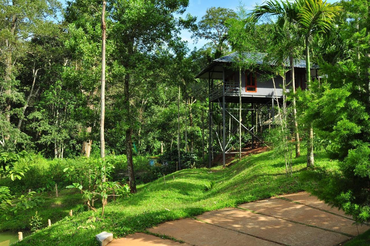 The Woods Resorts Wayanad Sultan Bathery Eksteriør bilde