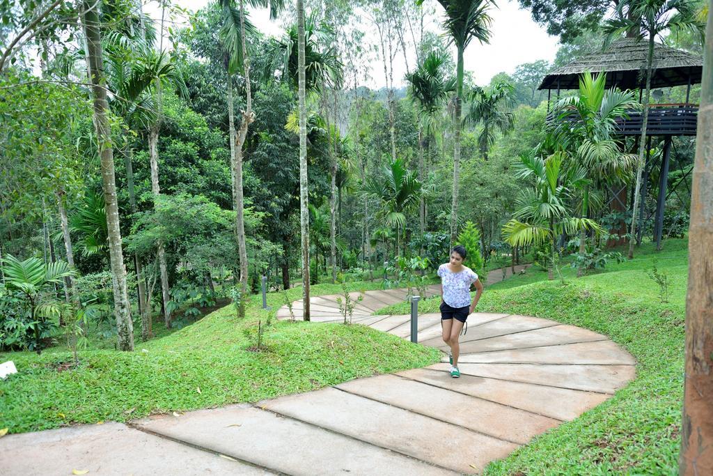 The Woods Resorts Wayanad Sultan Bathery Eksteriør bilde