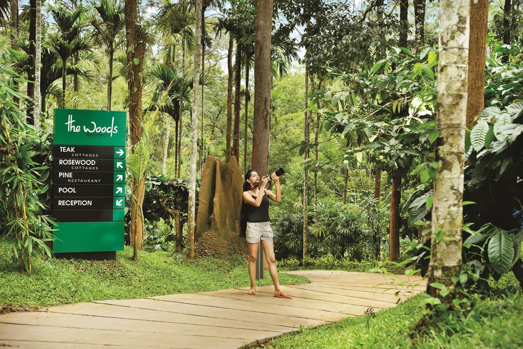 The Woods Resorts Wayanad Sultan Bathery Eksteriør bilde