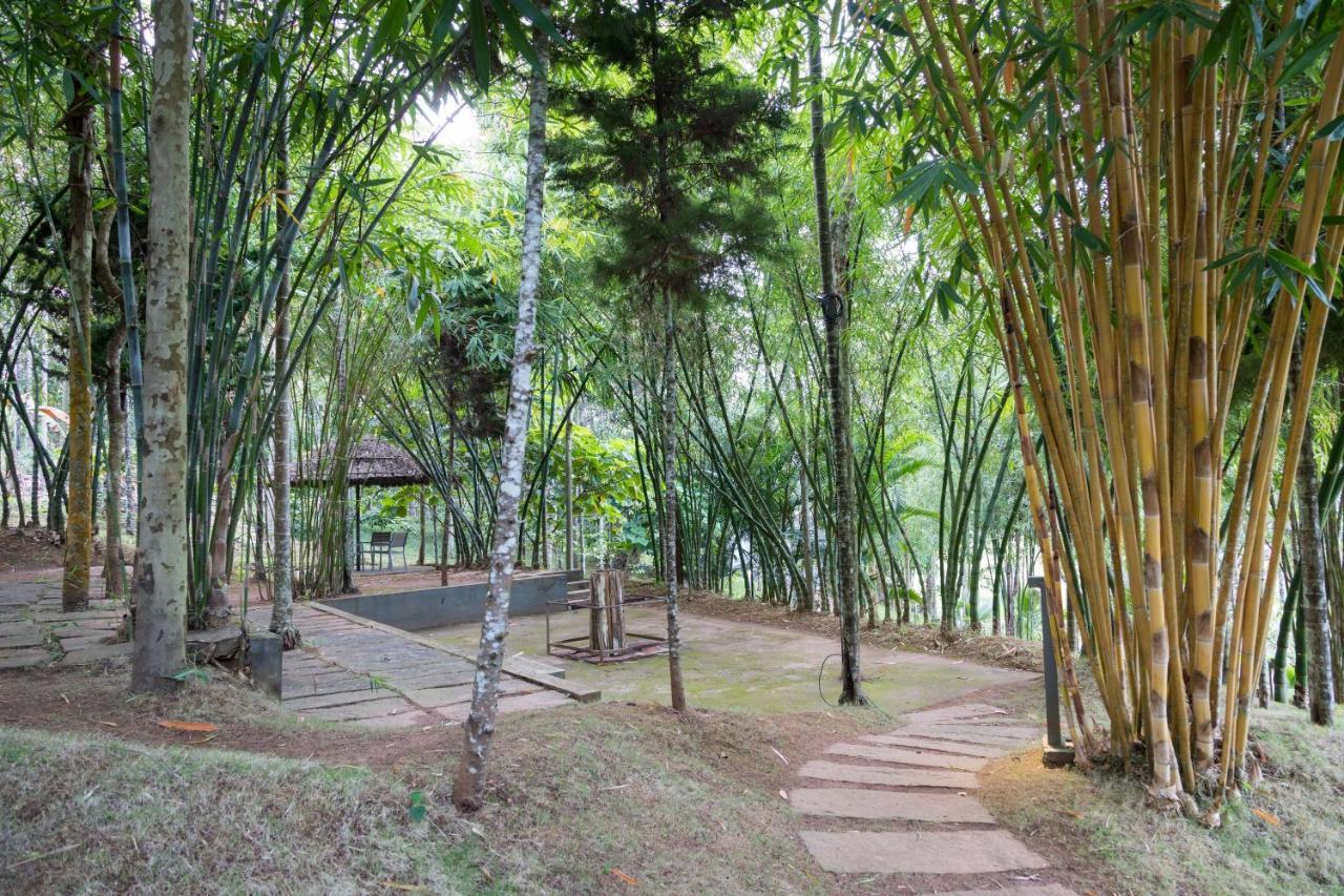 The Woods Resorts Wayanad Sultan Bathery Eksteriør bilde
