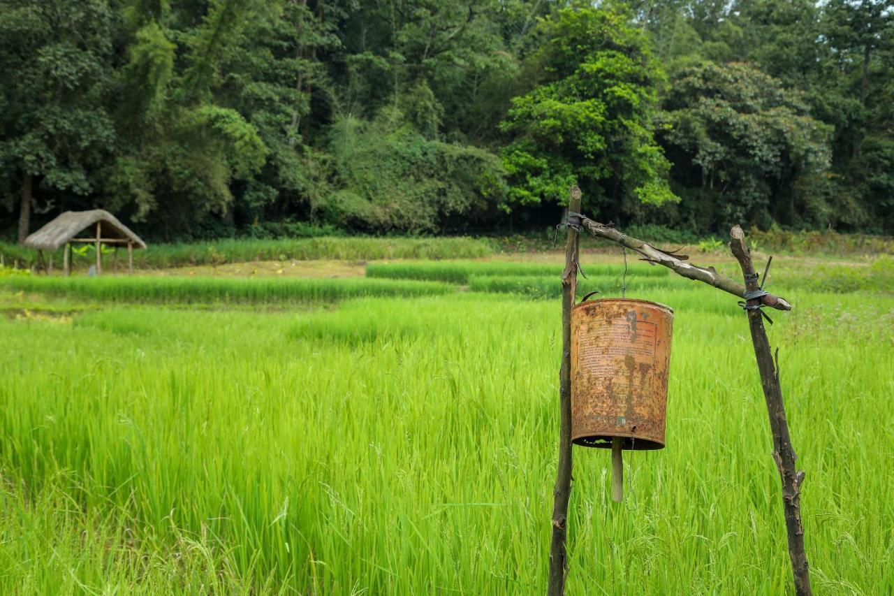 The Woods Resorts Wayanad Sultan Bathery Eksteriør bilde
