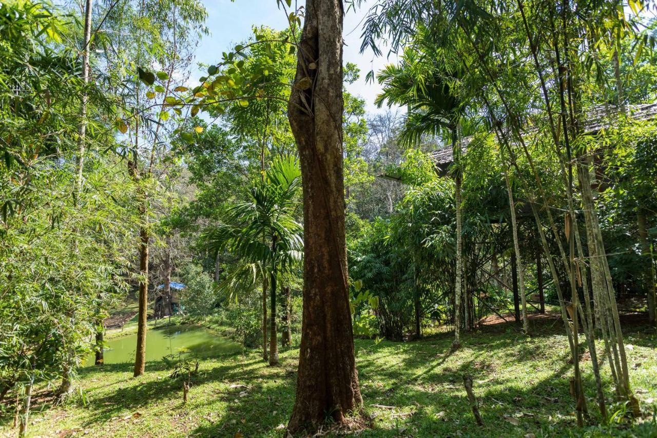 The Woods Resorts Wayanad Sultan Bathery Eksteriør bilde